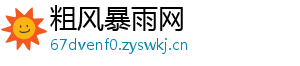 粗风暴雨网